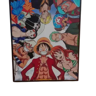 One Piece Portrait primary image