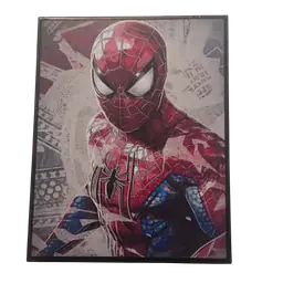 Spider Man Portrait - Master