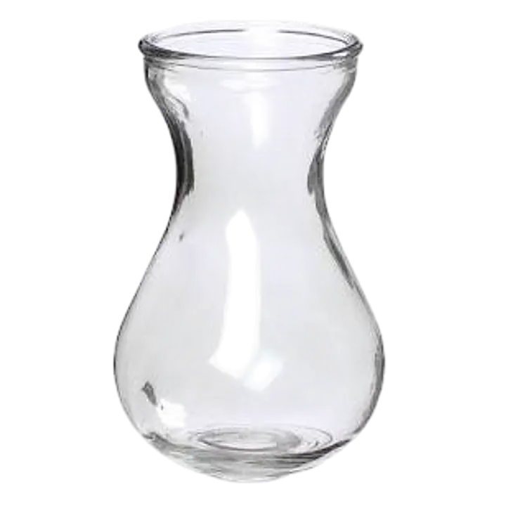 Clear Glass Hyacinth Bulb Forcing Vase - Master