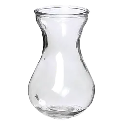Clear Glass Hyacinth Bulb Forcing Vase - Master