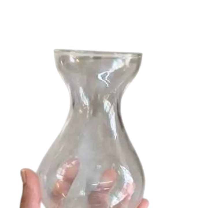 Clear Glass Hyacinth Bulb Forcing Vase - Master