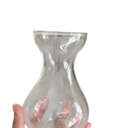 Clear Glass Hyacinth Bulb Forcing Vase - Master
