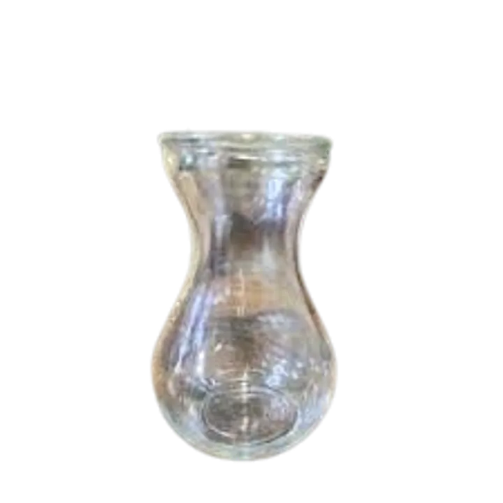 Clear Glass Hyacinth Bulb Forcing Vase - Master