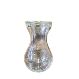 Clear Glass Hyacinth Bulb Forcing Vase - Master