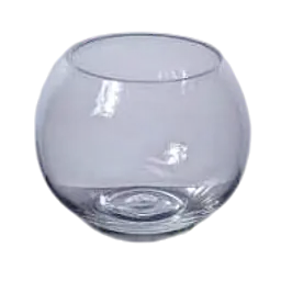 Clear Glass Bubble Bowl Vase - Master