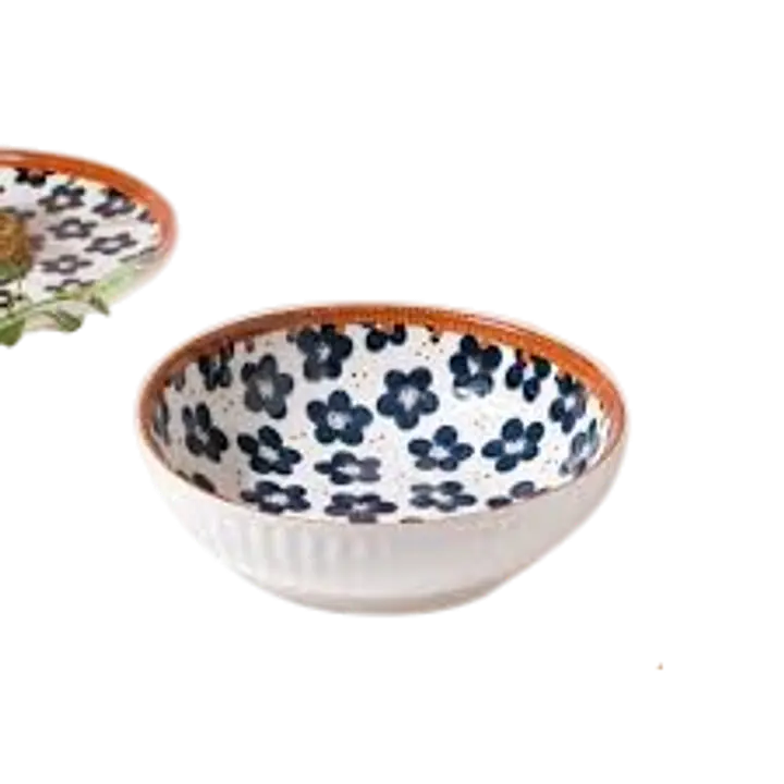 Japanese Rustic Ceramic Bowl - Master