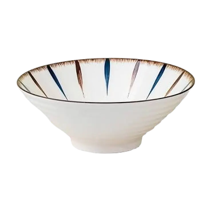Japanese-Style Ceramic Ramen Bowl – Multi-Color Radial Stripe Design - Master