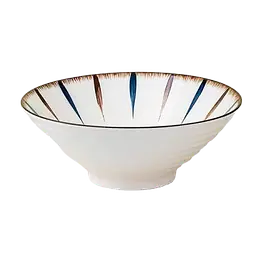 Japanese-Style Ceramic Ramen Bowl – Multi-Color Radial Stripe Design - Master