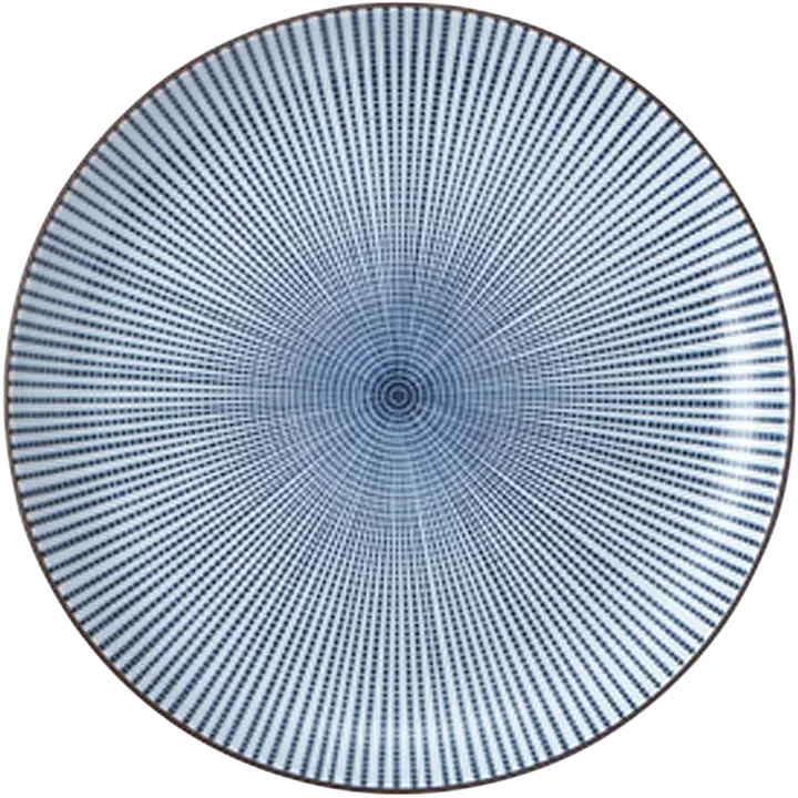 Japanese Sendan Tokusa Ceramic Dinner Plate – Blue Radial Stripe Design - Master