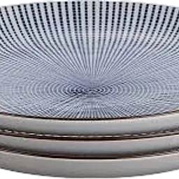 Japanese Sendan Tokusa Ceramic Dinner Plate – Blue Radial Stripe Design - Master
