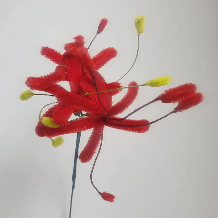 Pipe cleaner flower Red - Master