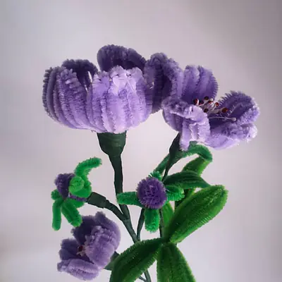 Purple bunch pipe flower primary image