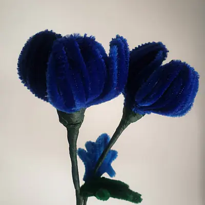 Pipe Flower Blue Tulip Bunch primary image