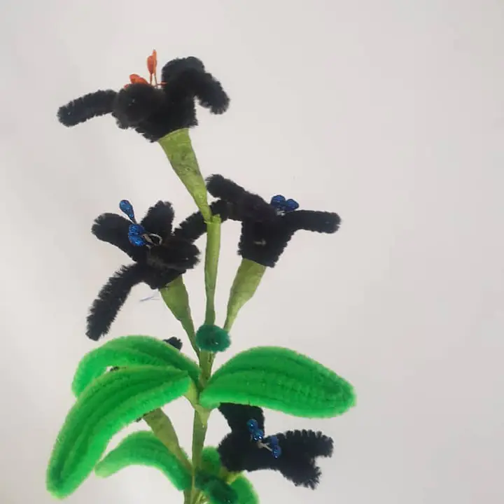 Pipe Flower Black - Master