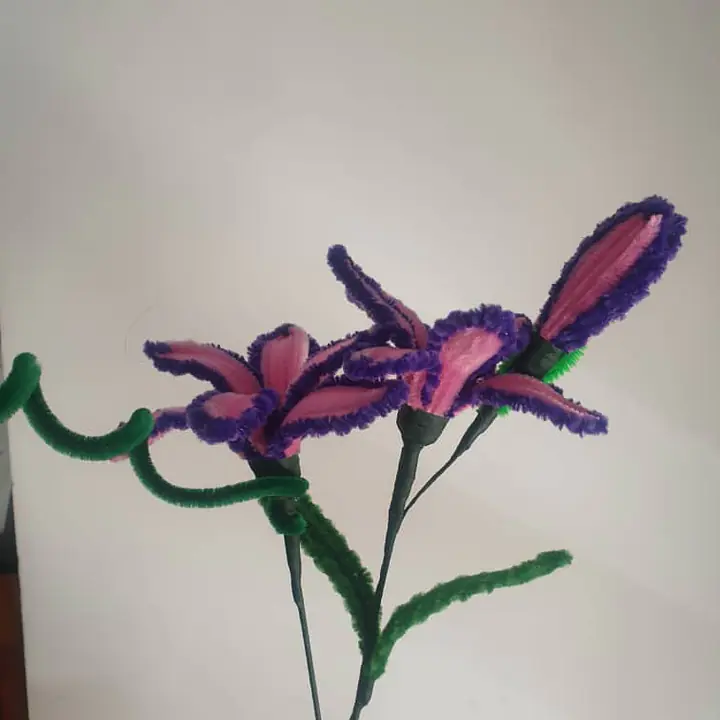 Purple Pink Pipe Flower bunch - Master