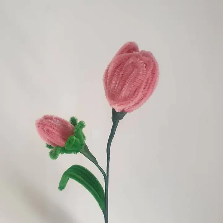 Pipe Flower Light Pink Tulip - Master