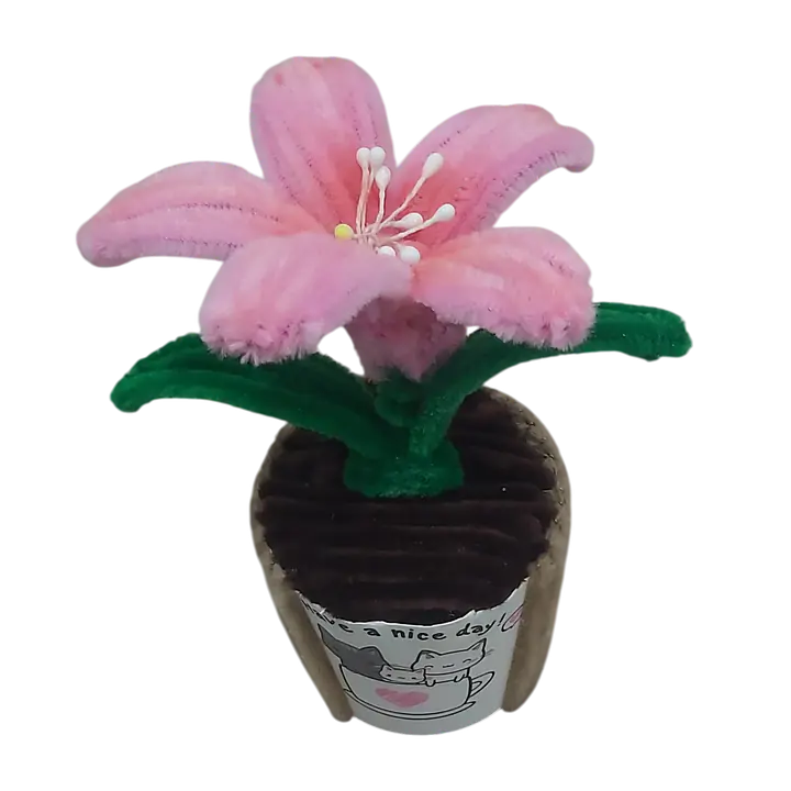 The Pink Grace Lily Flower - Master