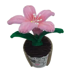 The Pink Grace Lily Flower - Master