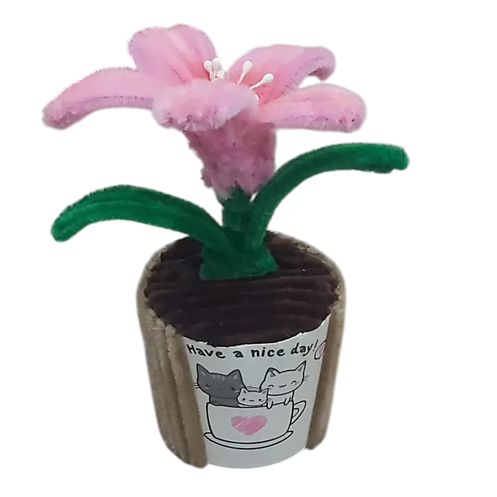 The Pink Grace Lily Flower - Master