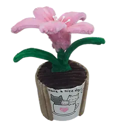 The Pink Grace Lily Flower - Master