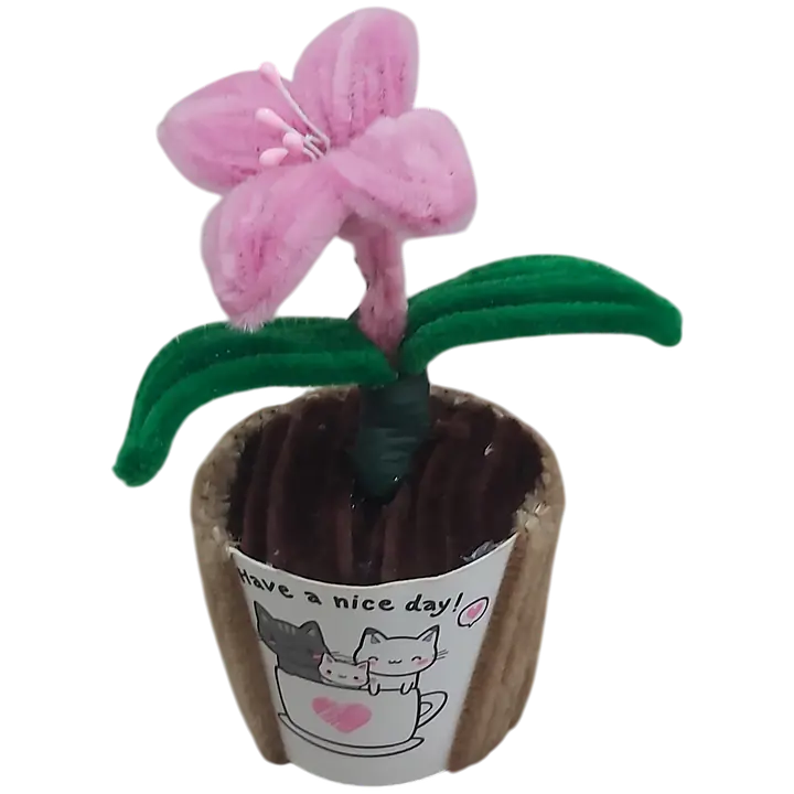 Sweetheart Lily Pot Flower - Master