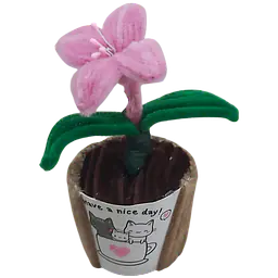 Sweetheart Lily Pot Flower - Master