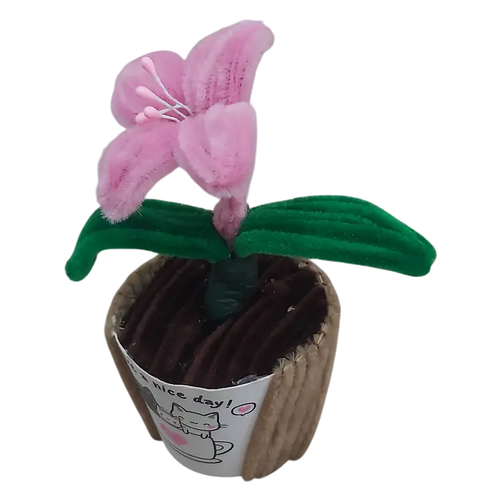 Sweetheart Lily Pot Flower - Master