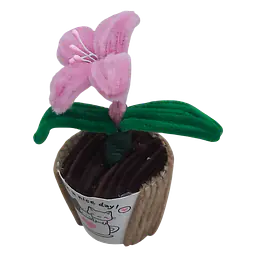 Sweetheart Lily Pot Flower - Master
