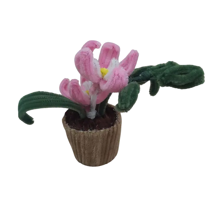Sweet Pink Spring Pot Flower - Master