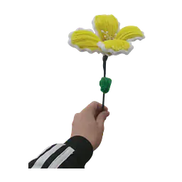 Golden Glow Lily Flower - Master