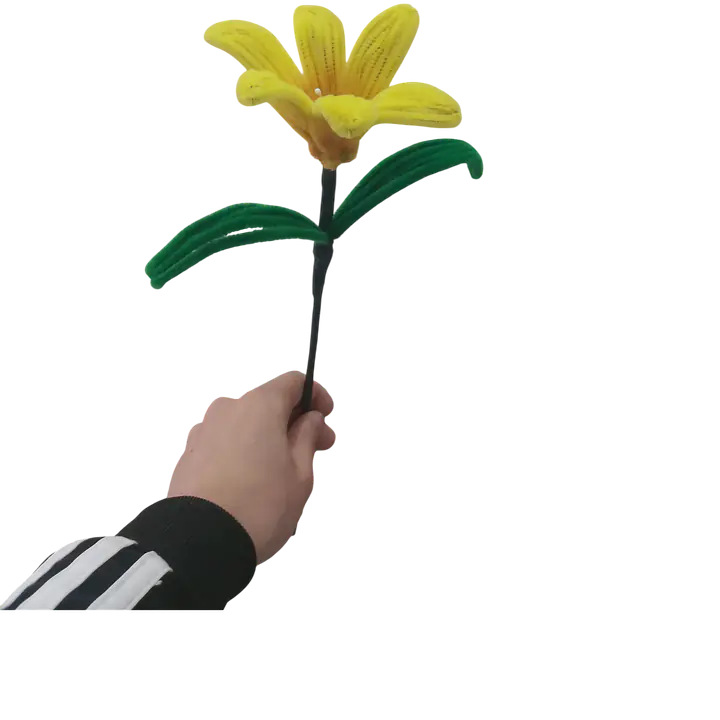 Classic Yellow Daylily Flower - Master