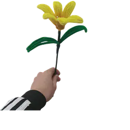 Classic Yellow Daylily Flower - Master