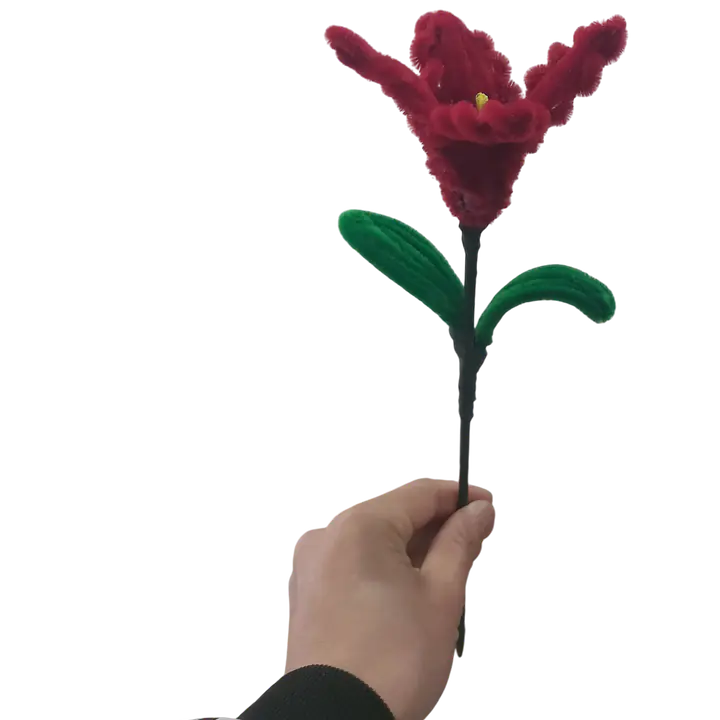 Midnight Rose Lily Flower - Master