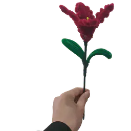 Midnight Rose Lily Flower - Master