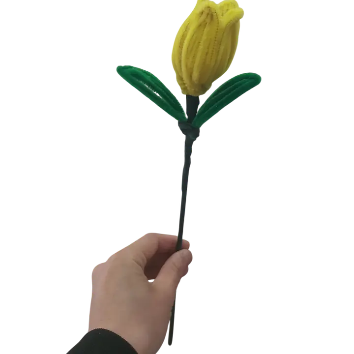 Hello Spring Yellow Tulip Flower - Master