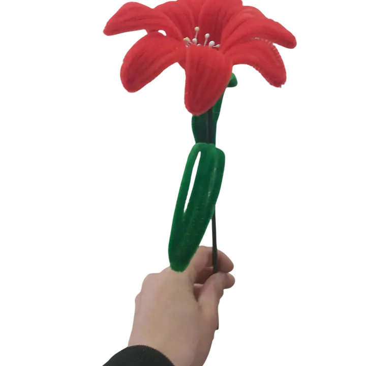 The Forever Passion Lily Flower - Master