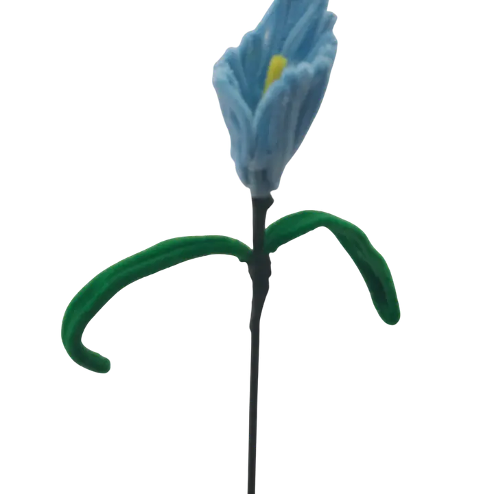 Sky Blue Iris Stem flower - Master