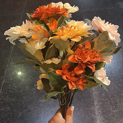 Dahlias Flower primary image