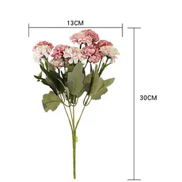 Dahlias Flower - Master