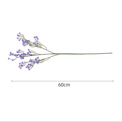 Gypsophila Flower primary image