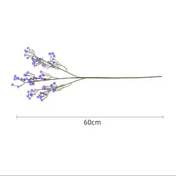 Gypsophila Flower - Master
