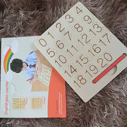 Wooden Puzzle Toy - Master