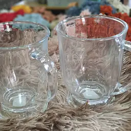 Tempered Glass Tea Cup - Master