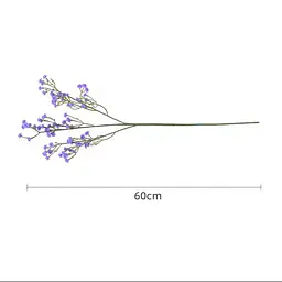 Gypsophila Flower - Master