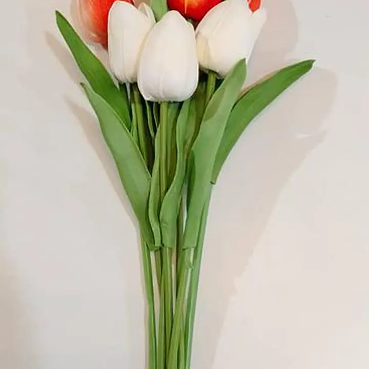 Single Tulip Flower - Master