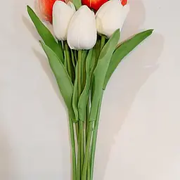 Single Tulip Flower - Master