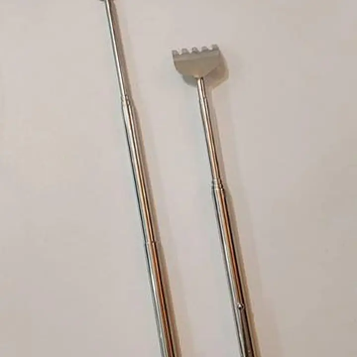 Extendable BackScratcher - Master