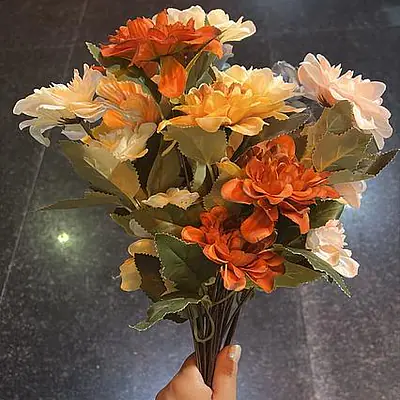 Dahlias Flower primary image