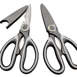 Kitchen Scissors - Master