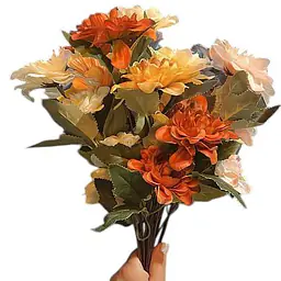 Dahlias Flower - Master